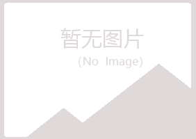 包头青山冰夏化学有限公司